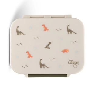CITRON svačinový box Mini Tritan (10)