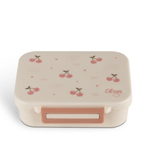 CITRON svačinový box Mini Tritan (16)