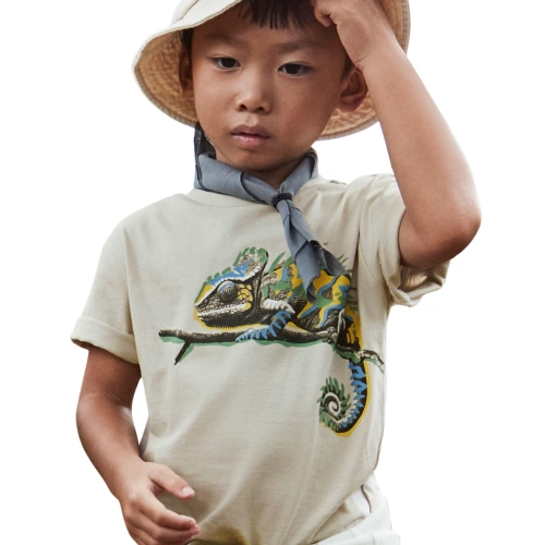 MAYORAL chlapecké tričko KR Chameleon béžová