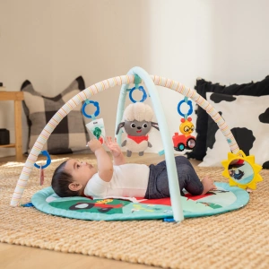 BABY EINSTEIN deka na hraní pro rozvoj motoriky a smyslů Happy Harvest™ Touch & Feel, 0m+ (4)