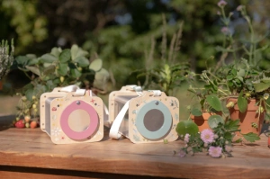 LITTLE DUTCH box na prohlížení hmyzu dřevěný Fairy Garden (11)